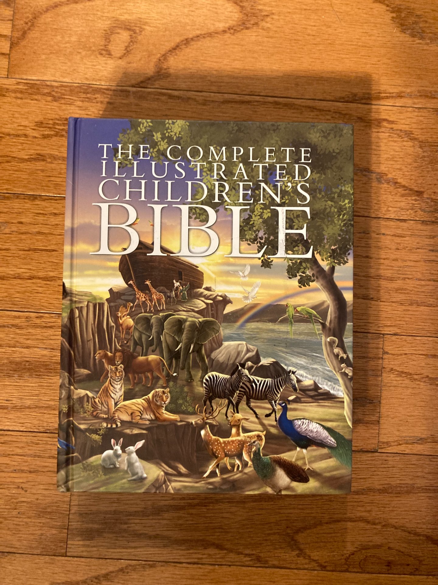 The Complete Illustrated Children's Bible