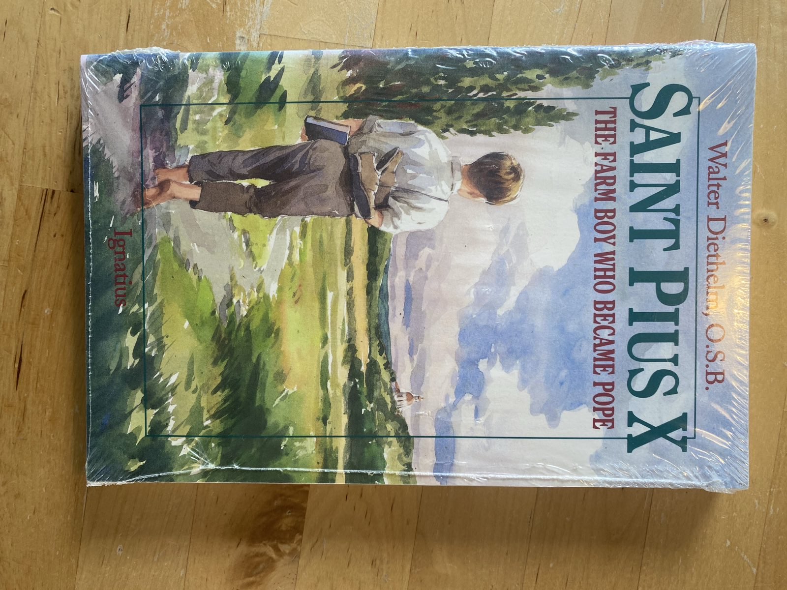 Saint Pius X - The Farm Boy Who Became Pope